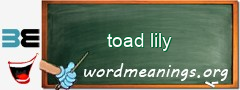 WordMeaning blackboard for toad lily
